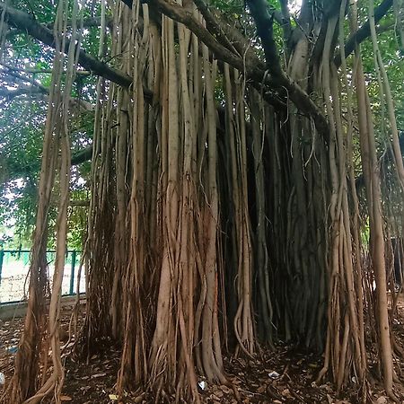 Hampi Anjana Home Stay Eksteriør bilde